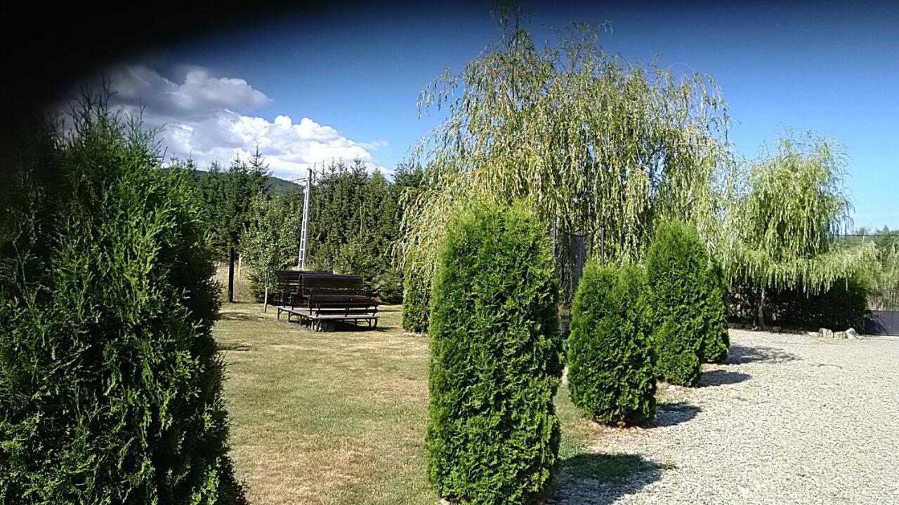 Pensiunea Maya Sîmbăta de Sus Dış mekan fotoğraf