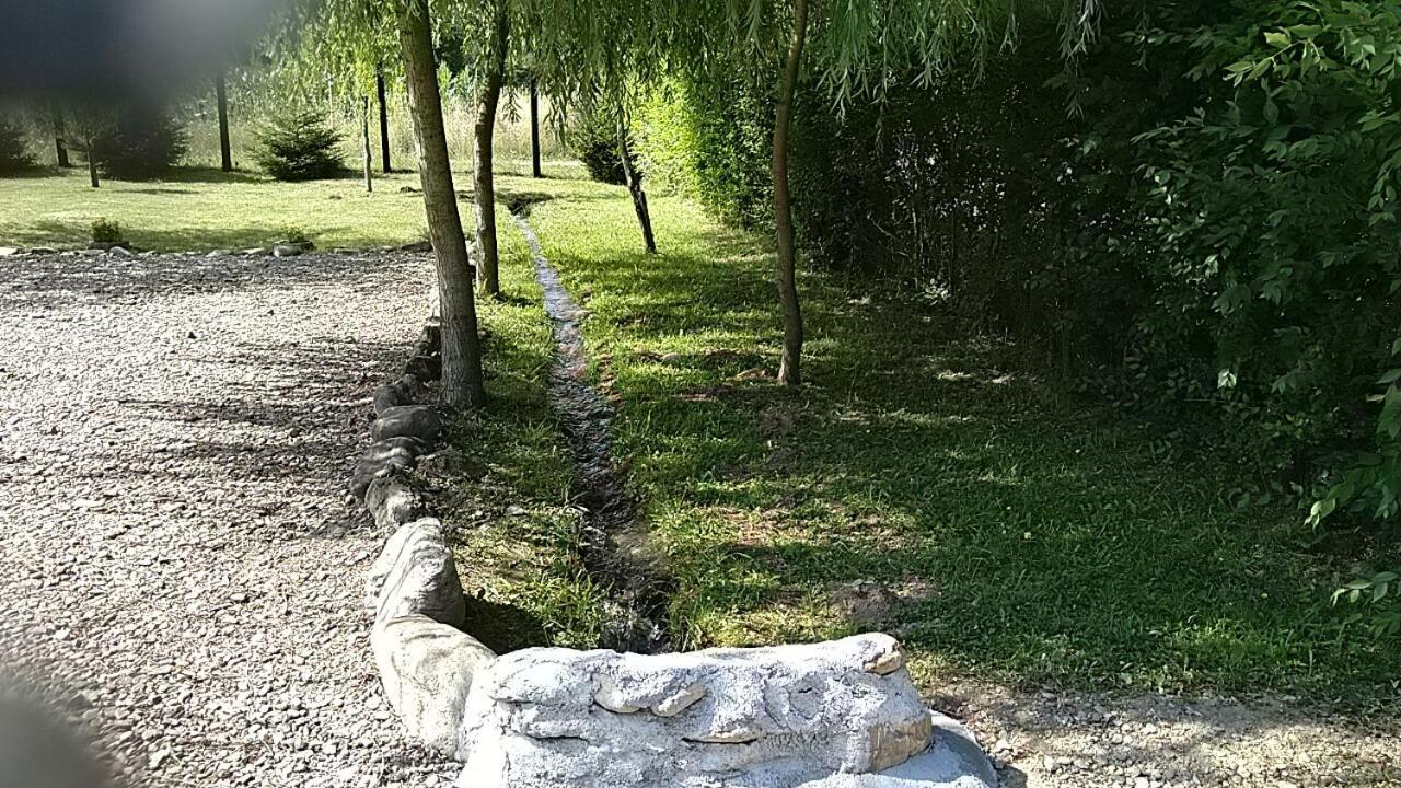 Pensiunea Maya Sîmbăta de Sus Dış mekan fotoğraf