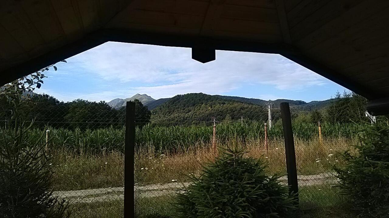 Pensiunea Maya Sîmbăta de Sus Dış mekan fotoğraf