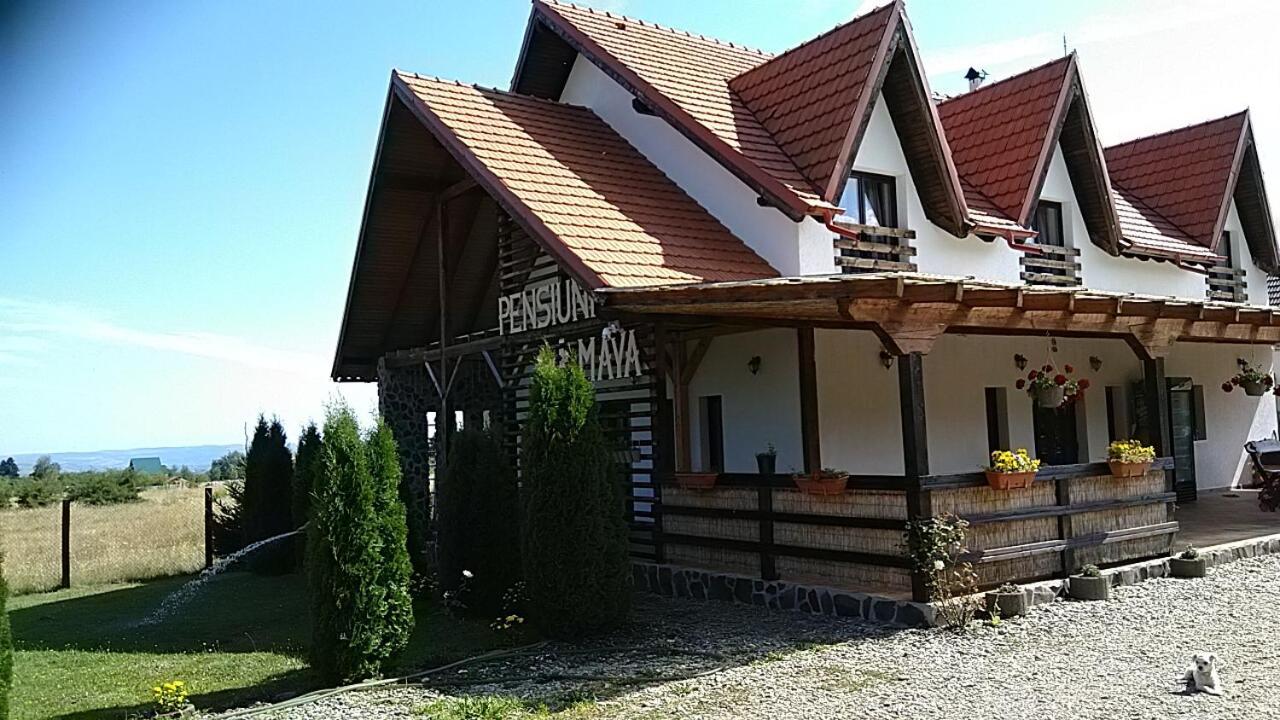 Pensiunea Maya Sîmbăta de Sus Dış mekan fotoğraf