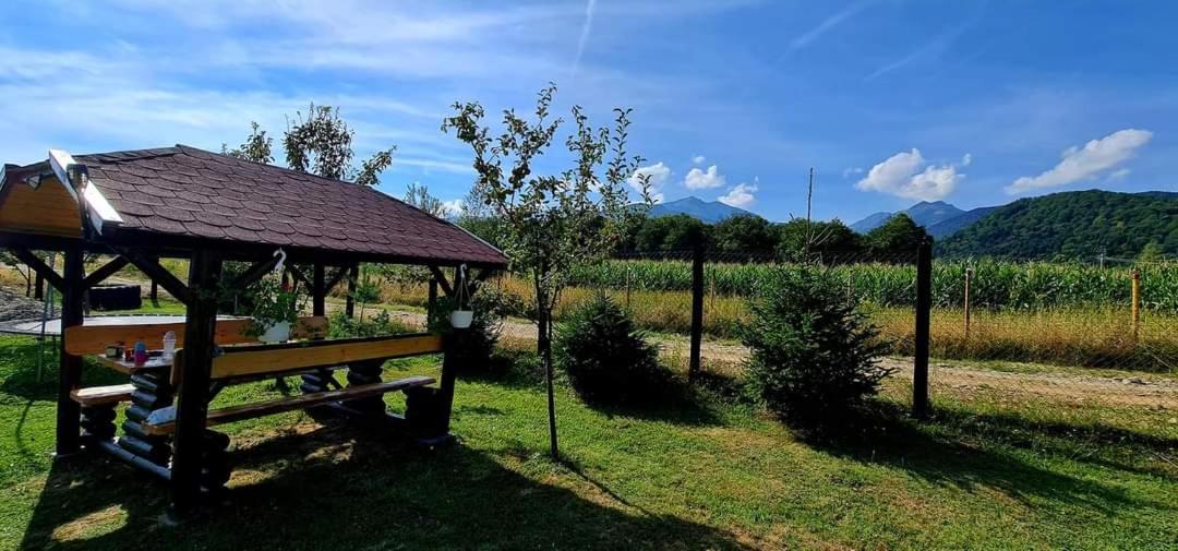Pensiunea Maya Sîmbăta de Sus Dış mekan fotoğraf