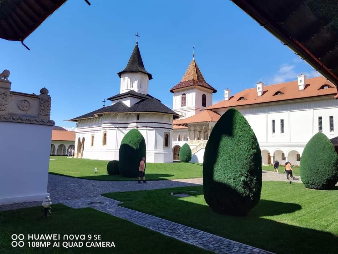 Pensiunea Maya Sîmbăta de Sus Dış mekan fotoğraf