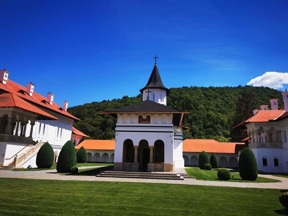 Pensiunea Maya Sîmbăta de Sus Dış mekan fotoğraf