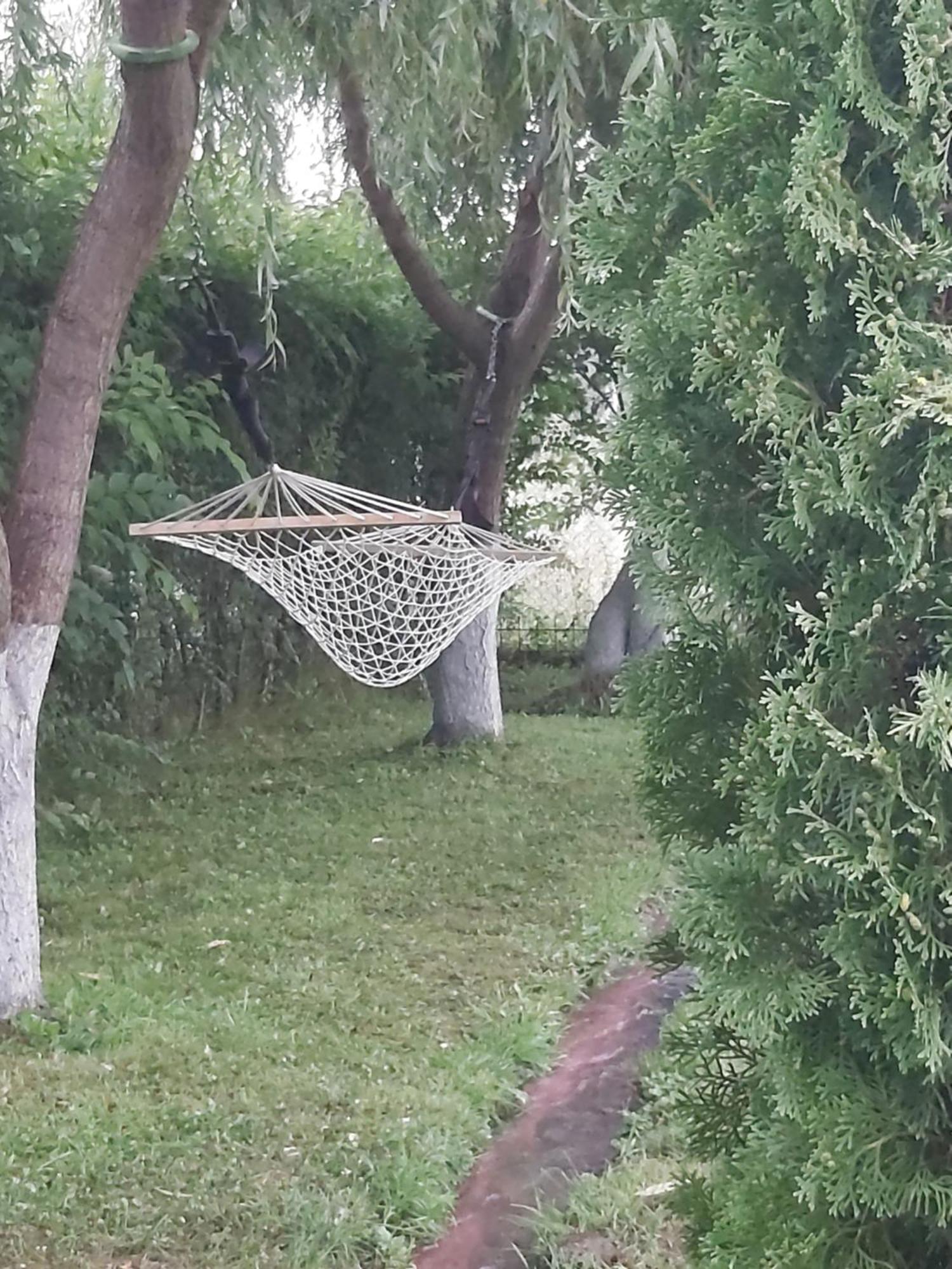 Pensiunea Maya Sîmbăta de Sus Dış mekan fotoğraf