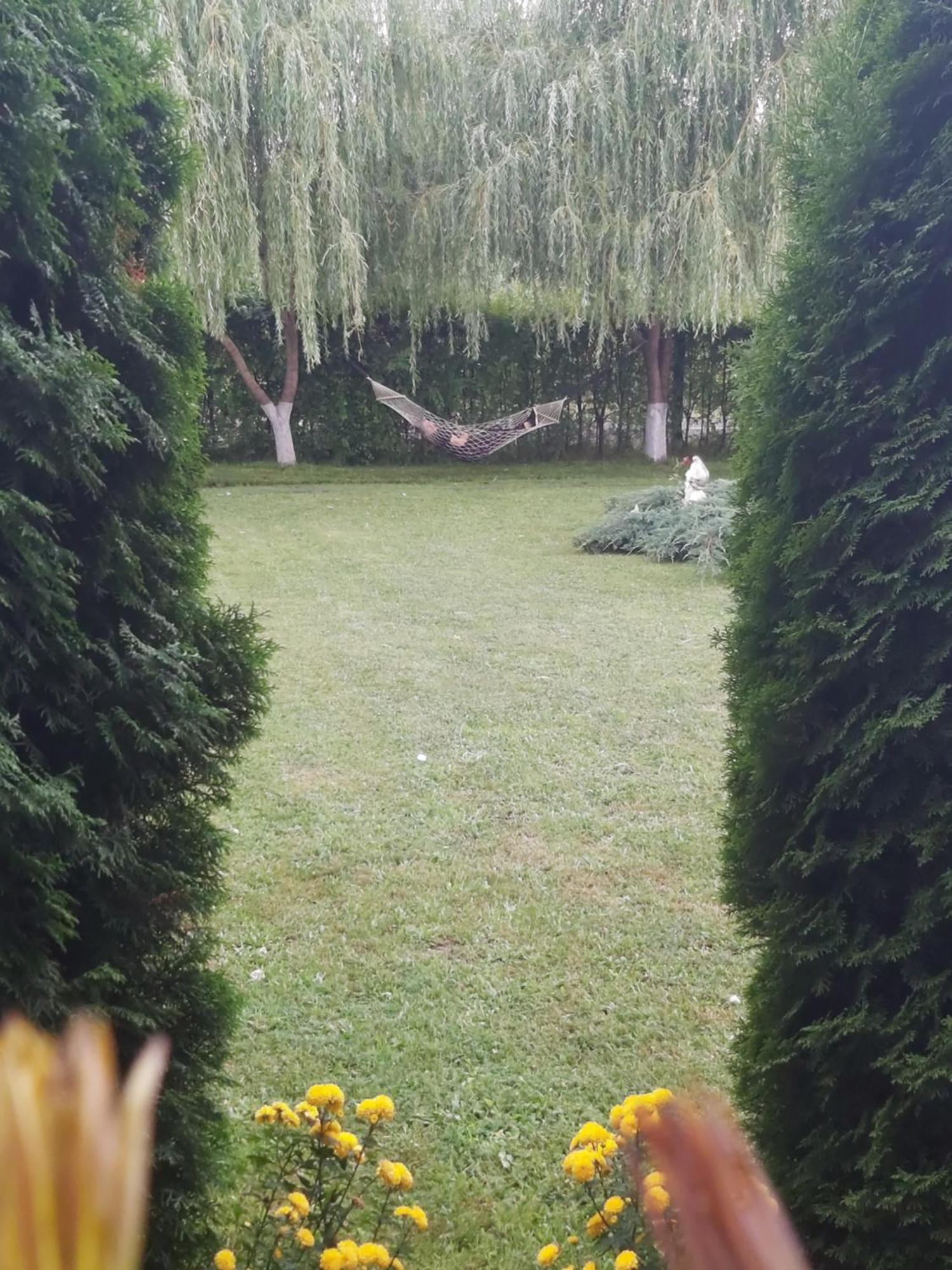 Pensiunea Maya Sîmbăta de Sus Dış mekan fotoğraf
