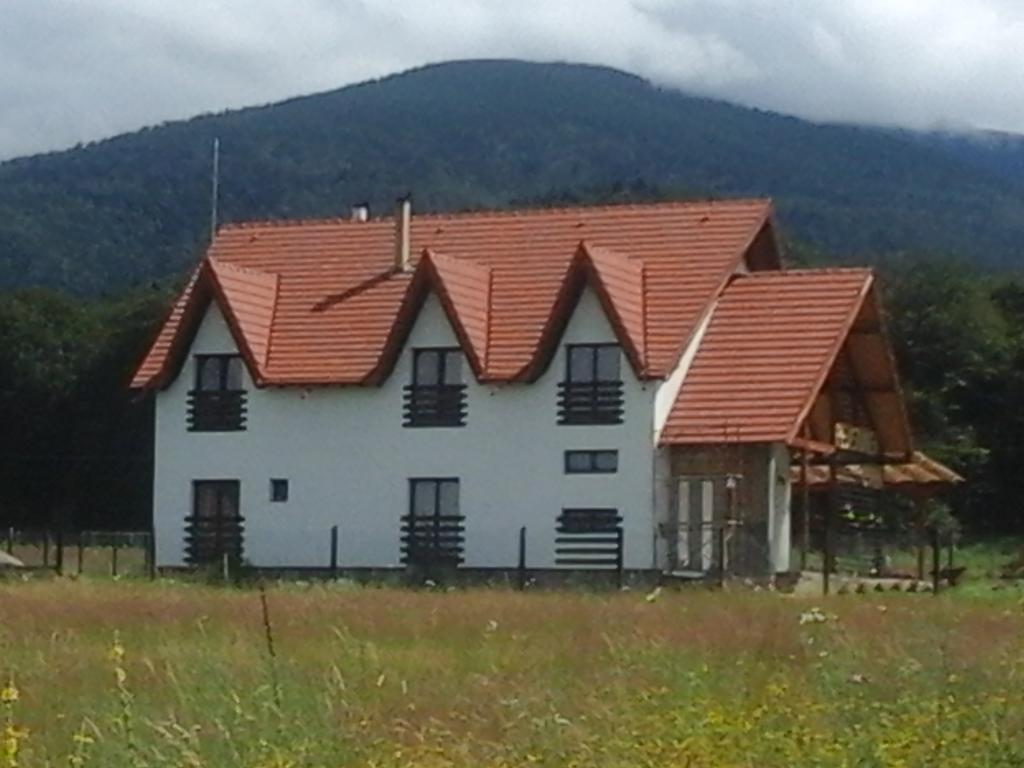 Pensiunea Maya Sîmbăta de Sus Dış mekan fotoğraf